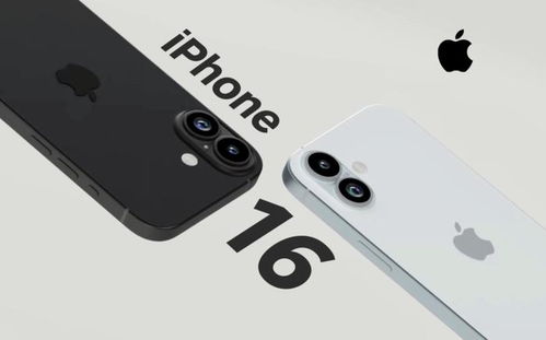 看今期四不像图今晚正版|实践分析解释落实_先锋版IPHONE.9.838